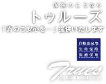 トゥルーズ（生命保険 自動車保険 医療保険）